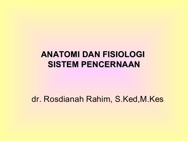 anatomi fisiologi pencernaan